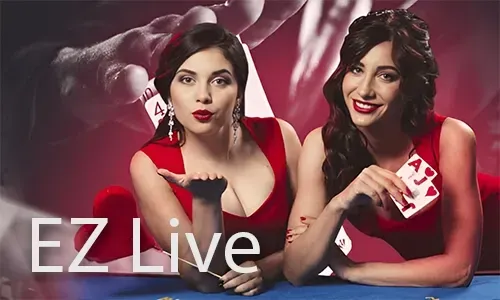 Roulette Game Guide